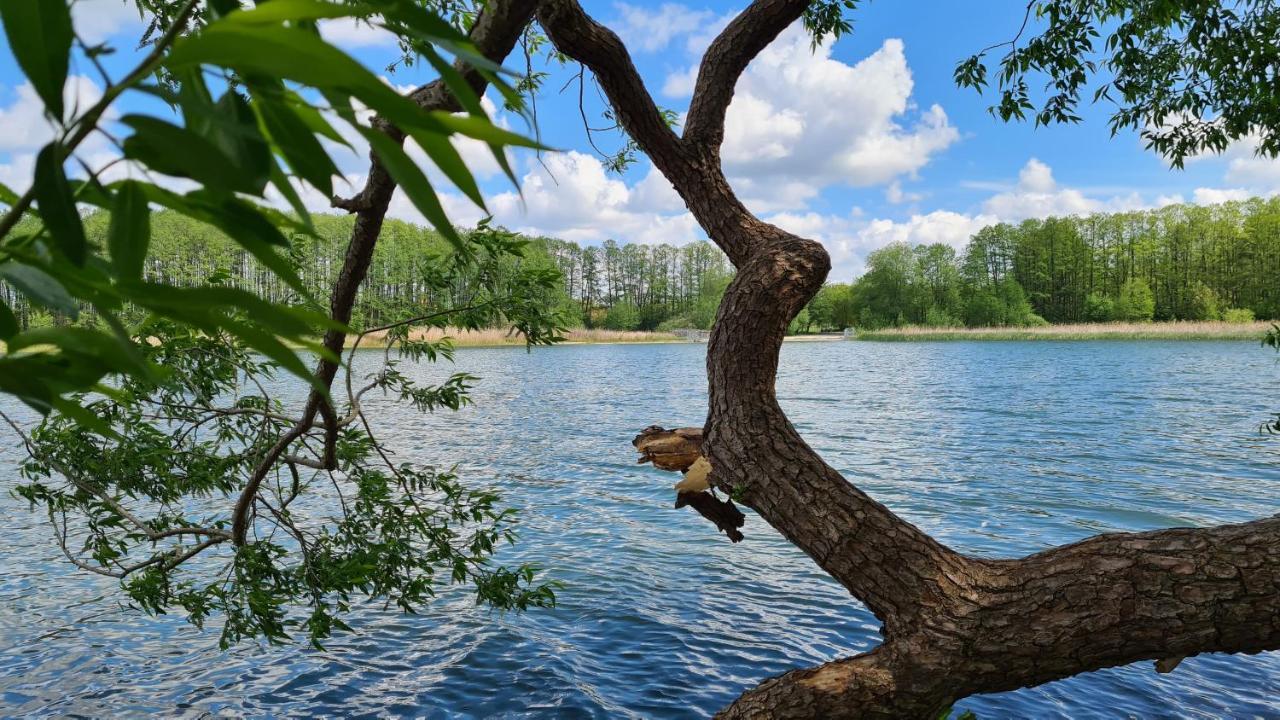 Hotel Am Wald B&B Міхендорф Екстер'єр фото