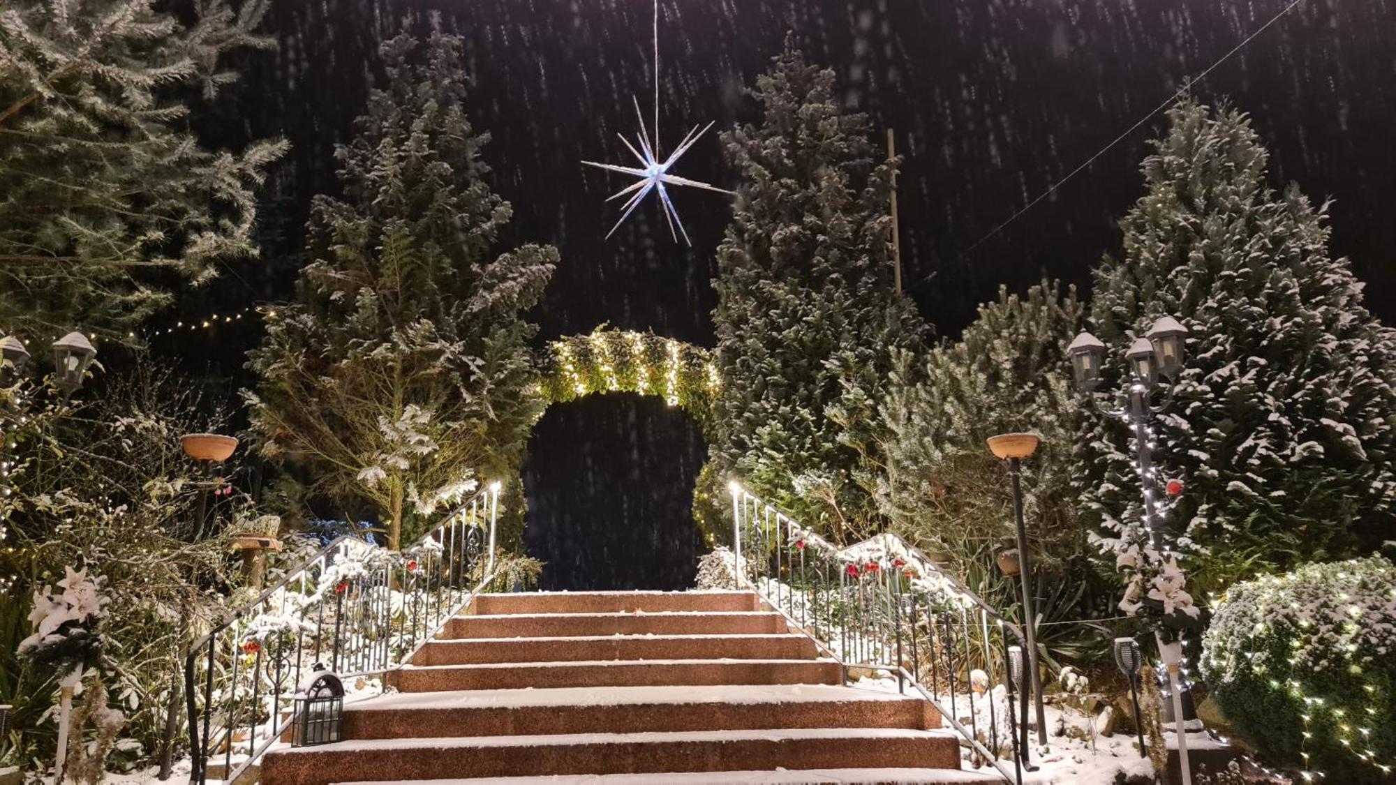 Hotel Am Wald B&B Міхендорф Екстер'єр фото